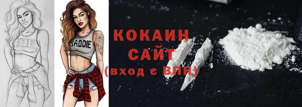 сатива Дмитровск