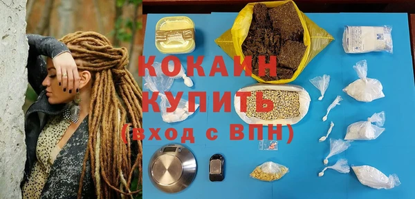 гашик Алзамай