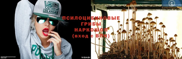 прущая мука Алексин